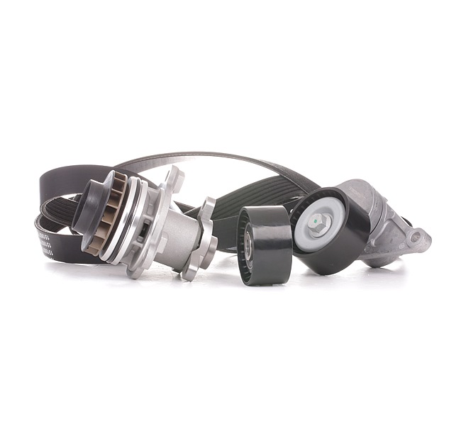 SKF Pompa acqua + Kit cinghia Poly V VKMC 36086-1 a buon mercato