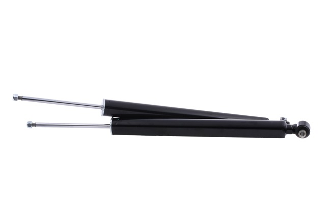 RIDEX 854S17799 A-kwaliteit en eerlijke prijzen