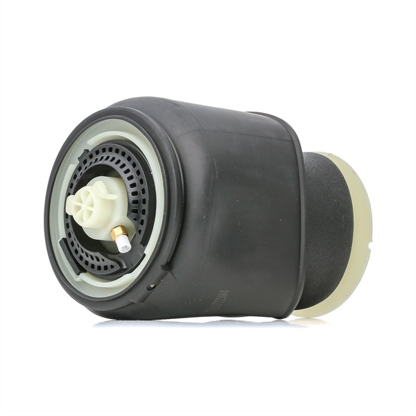 RIDEX 4119A0050 Calidad y precios justos