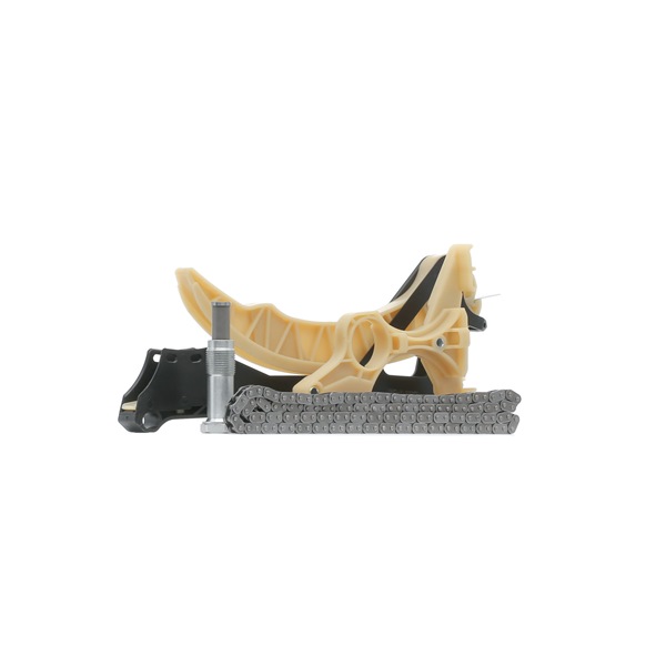 RIDEX 11 31 8 618 318 S1 Distributiekettingset 1389T2438