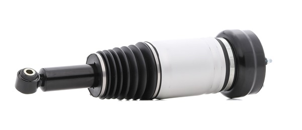 RIDEX 4118A0064 A-kwaliteit en eerlijke prijzen
