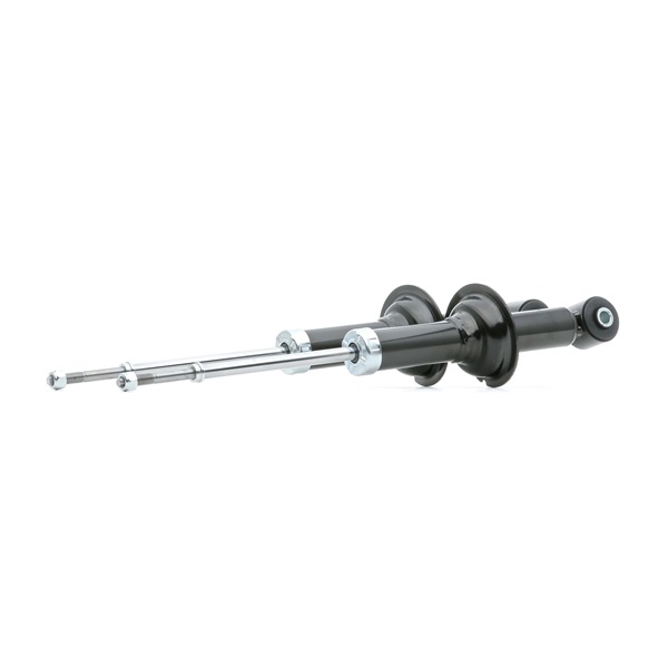 RIDEX 854S17899 schokdemper 4162A122
