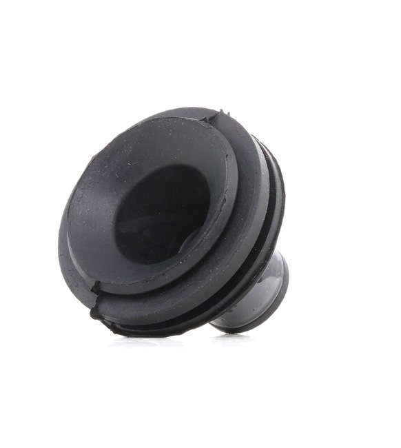 RIDEX 247E0467 Engine mount Renault Clio Van s57 1.9 RND 54 hp Diesel 1998
