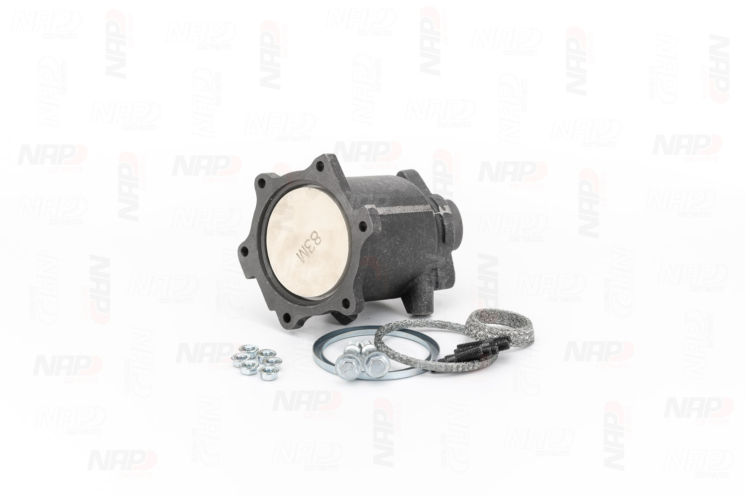 NAP carparts CAK10192 Nissan Maxima QX A33 Katalysaattori