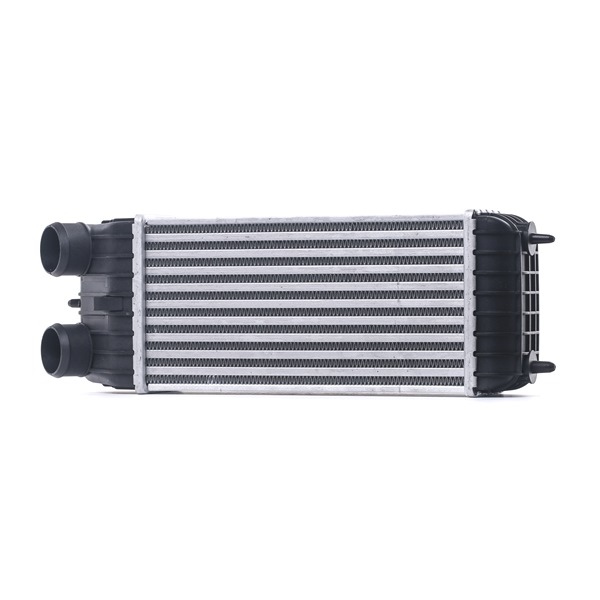 STARK SKICC-0890254 Kvalitet & fair priser