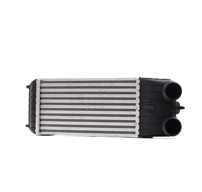 RIDEX 468I0139 Ladeluftkühler (LLK) CITROËN Kosten