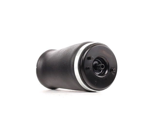 RIDEX 4118A0065 pneumatische veerpoot 1095081