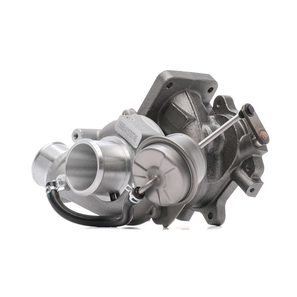 RIDEX 2234C10035 1A-Qualität und faire Preise