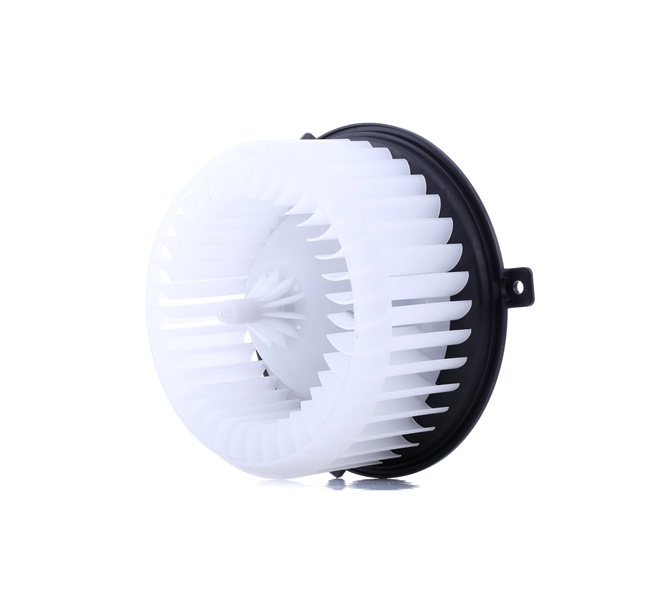 RIDEX 2669I0194 Ventilador habitáculo VAUXHALL MOKKA / MOKKA X compra barato con nuestros descuentos