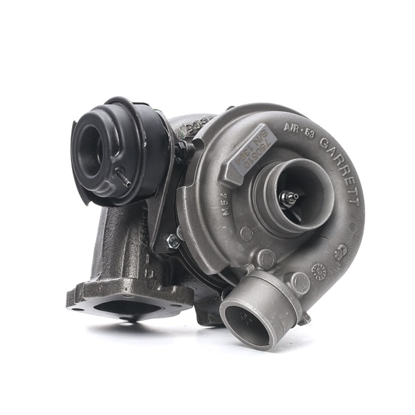 RIDEX REMAN 2234C10052R 1A-Qualität und faire Preise