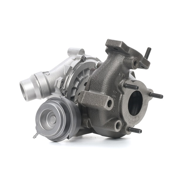 RIDEX REMAN 2234C10065R Turbo Renault Espace JK 2.0 dCi (JK03, JK04, JK1C, JK1G, JK1J, JK1K) 173 Pk Diesel 2022