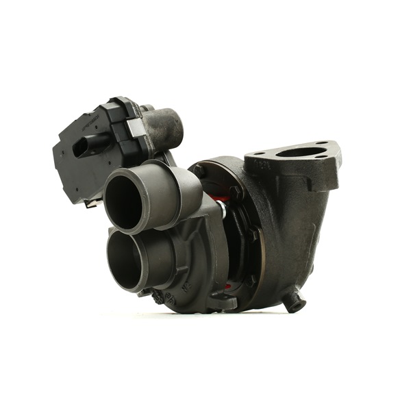 RIDEX REMAN 2234C10066R Kwaliteit & eerlijke prijsbepaling