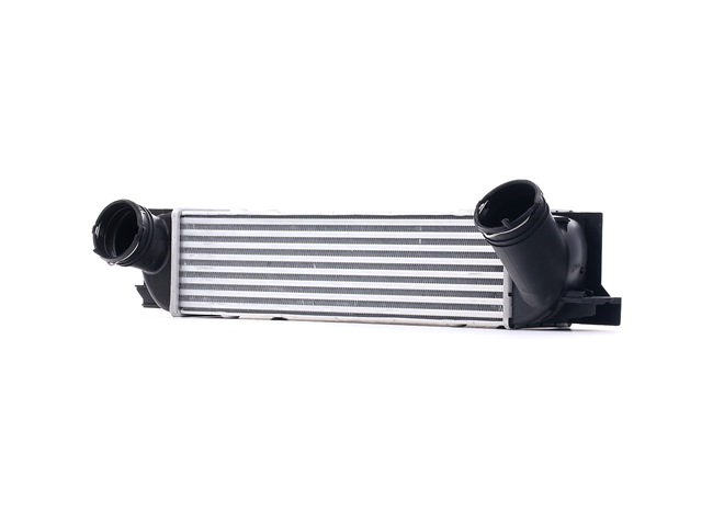 RIDEX 468I0147 Chladič plniaceho vzduchu BMW