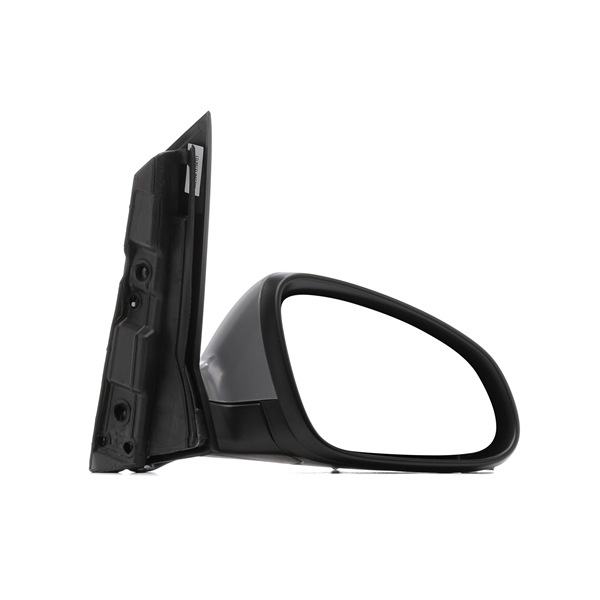 RIDEX 50O0795 buitenspiegel 13297110