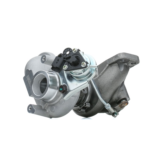 RIDEX 2234C10087 Turbokompresorius Citroen Jumpy Van 1.6 HDi 8V 90 AG dyzelinas 2008