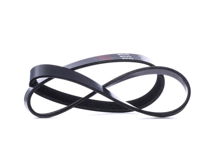 RIDEX 305P0471 Cinghia servizi Ford B-Max JK originale prezzo