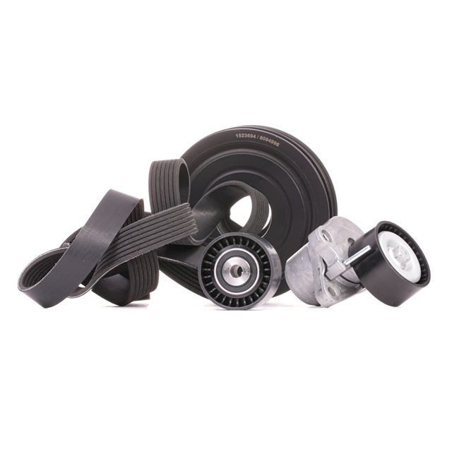 RIDEX 542R0546 Multiriem set OPEL Vivaro A Flatbed Vrachtwagen / Chassis (X83) 2.0 CDTI 90 Pk Diesel 2008