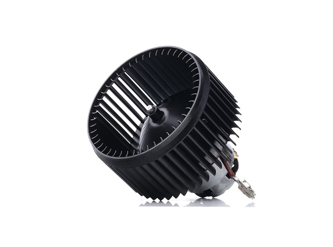 RIDEX 2669I0197 Pulseur d'air Lancia Thesis 841