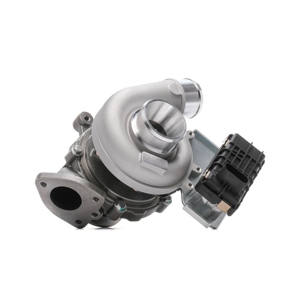 RIDEX 2234C10120 turbocharger LR003578