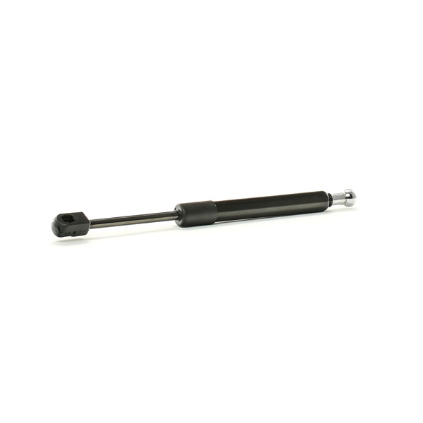 RIDEX 219G0966 A-kwaliteit en eerlijke prijzen