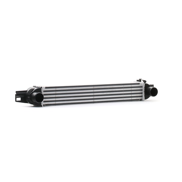 RIDEX 468I0153 Ladeluftkühler (LLK) FIAT Kosten