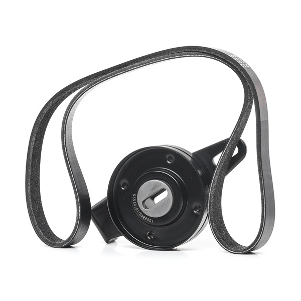 RIDEX 542R0551 A-kwaliteit en eerlijke prijzen