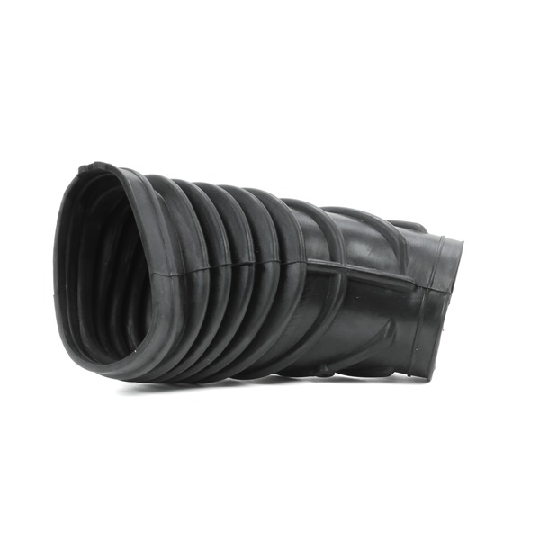 RIDEX 1591I0042 aanzuigslang, luchtfilter 1 247 031