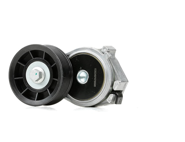 RIDEX 310T0374 Strammehjul DODGE Ram 2500 Pick-up (DR, DH, D1, DC, DM) 2007