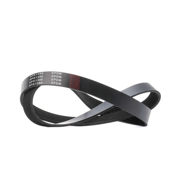 RIDEX 305P0477 Kileribberem ALPINA pris