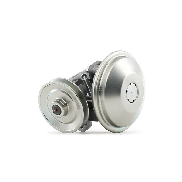 RIDEX 387V0079 vacuümpomp rembekrachtiger 4565.16