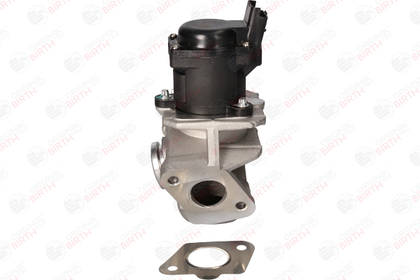 BIRTH 90058 egr klep 1618NRS1