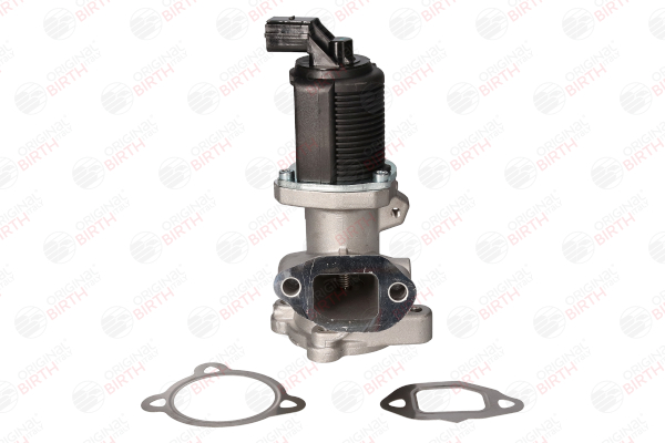 BIRTH 90061 EGR klep FIAT Doblo II Flatbed Vrachtwagen/Chassis (263) 1.3 D Multijet 75 Pk Diesel 2020