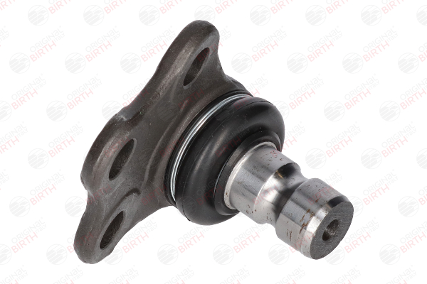BIRTH CX9248 Testina braccio oscillante Renault Megane 4 1.2 TCe 130 (B9MR) 130 CV Benzina 2016