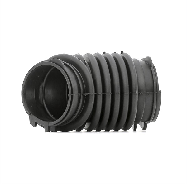 RAPRO R16267 Tubo aspirazione filtro aria Ford C-Max DM2 1.8 125 CV Benzina 2008