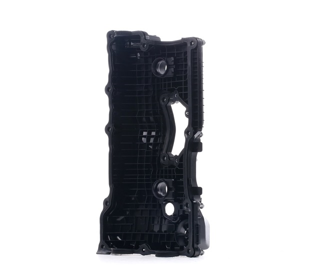 ESEN SKV 48SKV012 Cache-culbuteur BMW E46 316i 1.8 115 CV Essence 2004