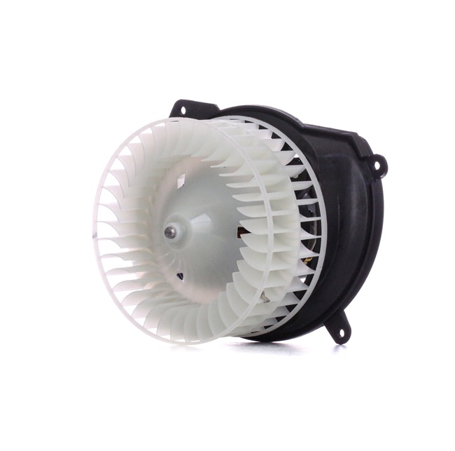RIDEX 2669I0202 interieurventilatie A2028209242