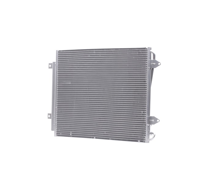 RIDEX 448C0338 qualité et prix abordables