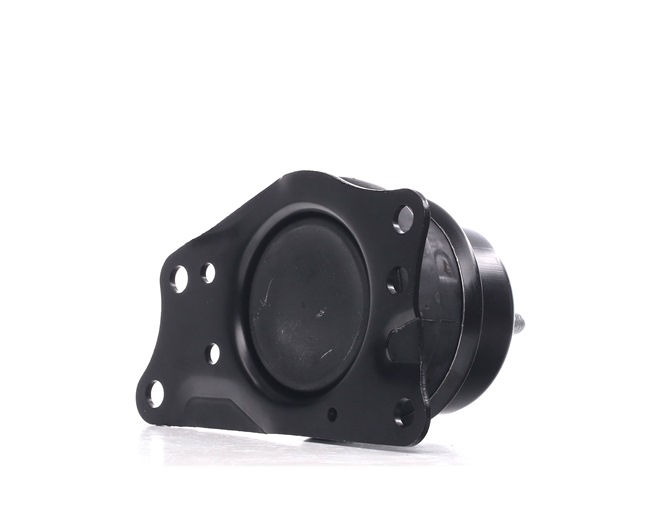 STARK SKEM-0660576 Vlezajenje, motor Polo 6n2