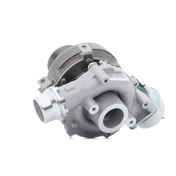 RIDEX 2234C10154 RENAULT turbo kopen