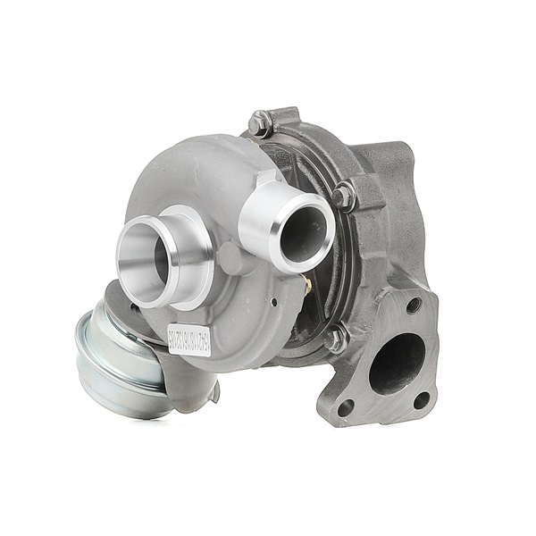 RIDEX REMAN Turbocompresor 2234C10159R a un precio bajo
