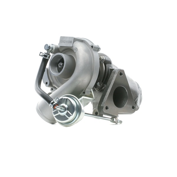 RIDEX 2234C10163 turbocharger A 601 096 02 99