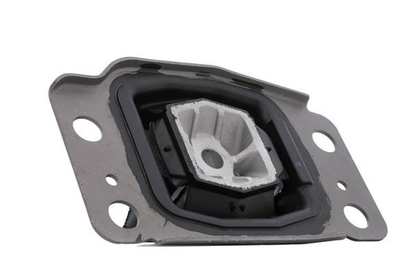 RIDEX 247E0598 Ulożenie motora Ford S Max wa6