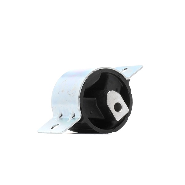 RIDEX 249M0054 Ātrumkārbas spilvens VW LT 46 Platforma 2.5 TDI 95 ZS Dīzelis 2004