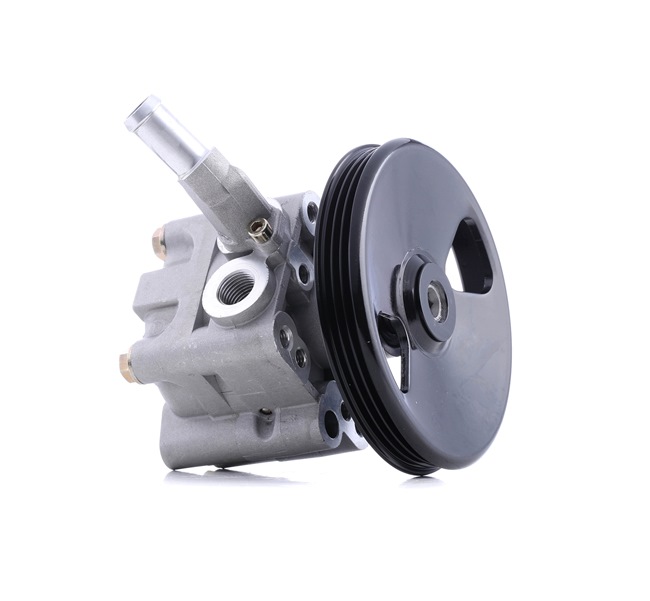 RIDEX 12H0265 stuurbekrachtigingspomp 491105M400