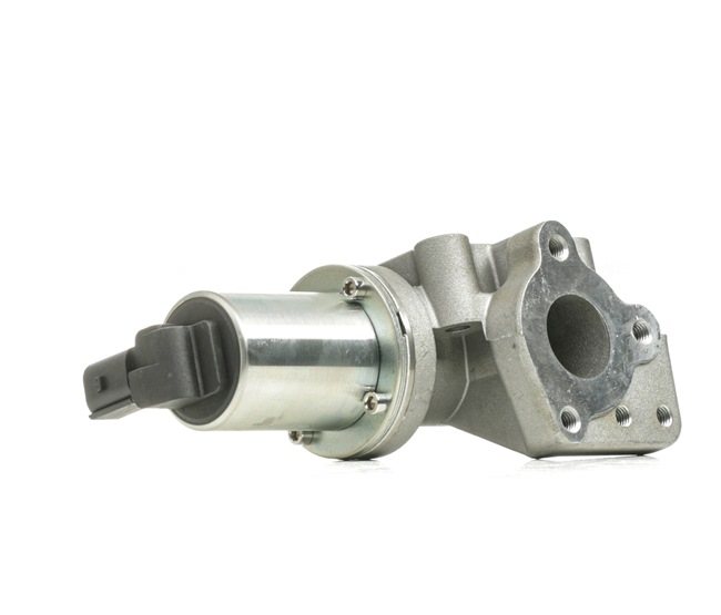 RIDEX 1145E0270 EGR ventil HYUNDAI H-1 2021