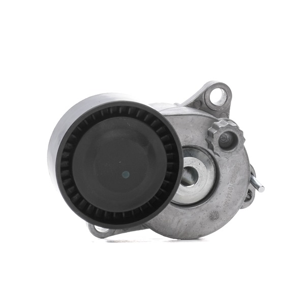 RIDEX 310T0393 spanrol, poly v-riem A651 200 13 70