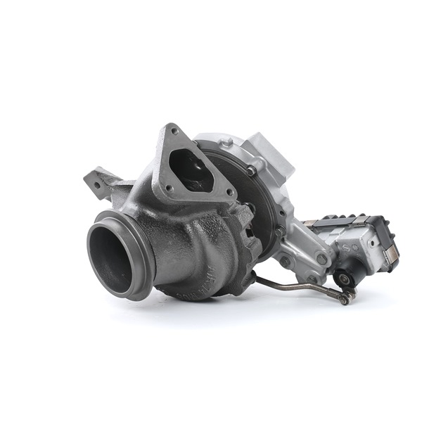 RIDEX REMAN 2234C10190R Spitzenqualität zu preiswerten Preisen