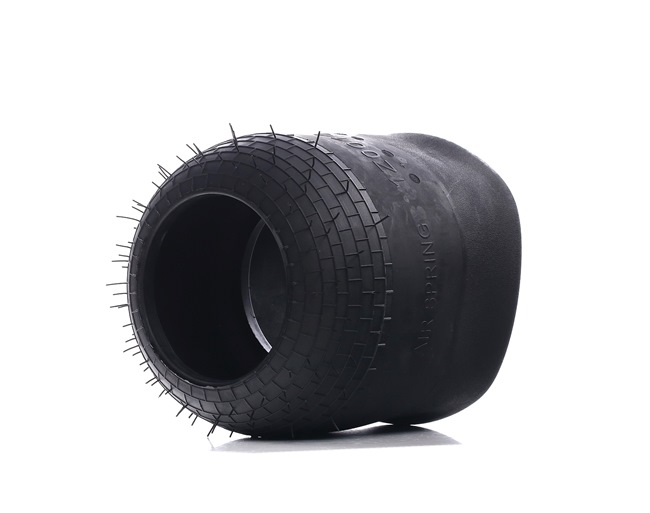 RIDEX 4119A0059 luchtbalg A000 327 0301
