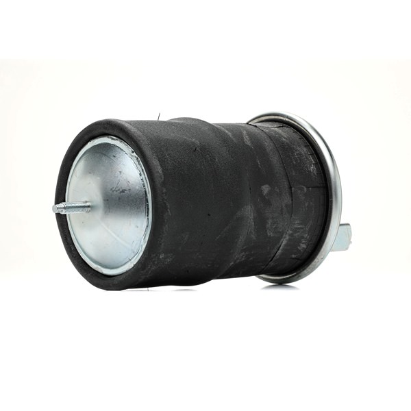 RIDEX 4119A0060 luchtbalg 70.321.693