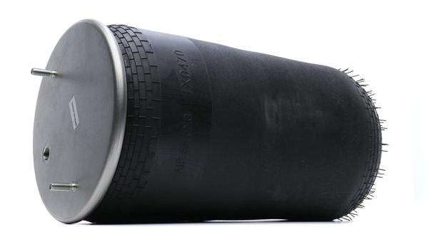 RIDEX 4119A0061 Calidad y precios justos